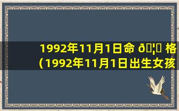 1992年11月1日命 🦍 格（1992年11月1日出生女孩是什么命）